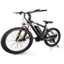 Electric Bike