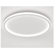 LED Ceiling Light