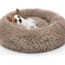 Round Dog Bed