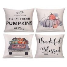 Fall decor pillow covers