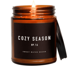 Cozy Season Candle | Woods, Warm Spice, and Citrus Autumn Scented Soy Candles for Home | 9oz Amber Jar, 40 Hour Burn Time