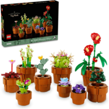 LEGO Icons Tiny Plants Building Set - Cactus Décor Gift Idea for Flower-Lovers