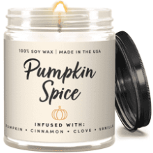 WAX & WIT Fall Candles - Pumpkin Spice, Autumn Scented, Bathroom and Home Decor - 9oz