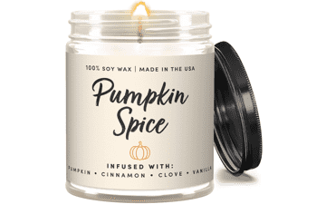 WAX & WIT Fall Candles - Pumpkin Spice, Autumn Scented, Bathroom and Home Decor - 9oz