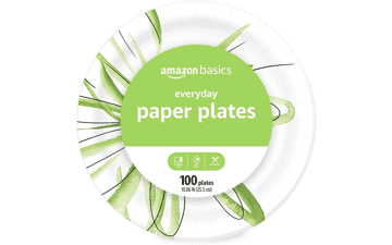 Everyday Paper Plates - 10 Inch - Disposable - 100 Count