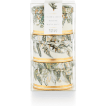 ILLUME Noble Holiday Mini Tin Candle Set