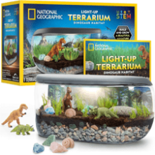 Light Up Terrarium Kit for Kids - Build a Dinosaur Habitat with Real Plants & Fossils, Science Kit, Dinosaur Toys (Amazon Exclusive)