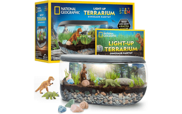 Light Up Terrarium Kit for Kids - Build a Dinosaur Habitat with Real Plants & Fossils, Science Kit, Dinosaur Toys (Amazon Exclusive)