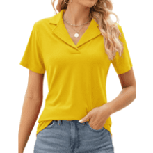 Rapbin Women's Polo Shirts - Lapel Collar V Neck Short Sleeve Blouse - Dressy Casual Tunic Tops