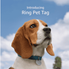 Ring Pet Tag | QR Code | Real-time Scan Alerts | Shareable Pet Profile