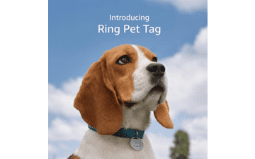 Ring Pet Tag | QR Code | Real-time Scan Alerts | Shareable Pet Profile