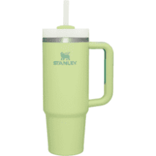 Stanley Quencher H2.0 FlowState Stainless Steel Tumbler with Lid and Straw - Citron, 30 oz