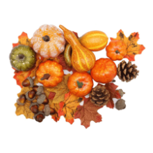 Thanksgiving Artificial Pumpkins Fall Decorations for Home - 50Pcs Decor, 30 Leaves, 10 Acorns, 2 Pinecones, 8 Fake Pumpkins - Harvest Farmhouse Table Tiered Tray Set