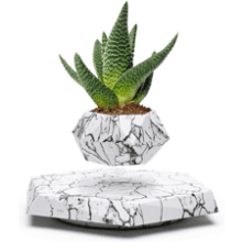 BandD Succulent Plant Pot - Magnetic Levitating Display for Home, Office, and Desk Decor (Marble)