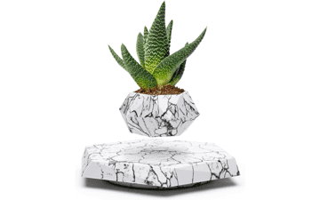 BandD Succulent Plant Pot - Magnetic Levitating Display for Home, Office, and Desk Decor (Marble)