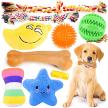 PUPTILY 9 Pack Dog Toys, Luxury Puppy Christmas Chew Toys