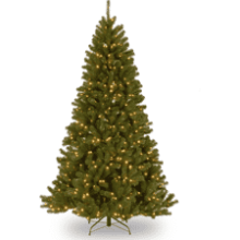 Pre-Lit Artificial Christmas Tree - Green North Valley Spruce - 7 Feet