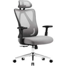 Sweetcrispy Ergonomic Office Desk Chair with Wheels, Adjustable Lumbar Support, Grey