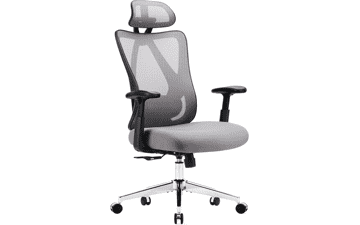 Sweetcrispy Ergonomic Office Desk Chair with Wheels, Adjustable Lumbar Support, Grey