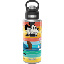 Tervis Disney Mickey Friends Insulated Tumbler Travel Cup, 32oz Stainless Steel