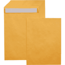 Amazon Basics 9x12 Inch Brown Kraft Mailing Envelopes, 100-Pack