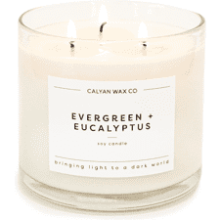 Calyan Evergreen Eucalyptus 3 Wick Soy Wax Candle