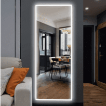 NeuType 65"x22" LED Mirror Full Length