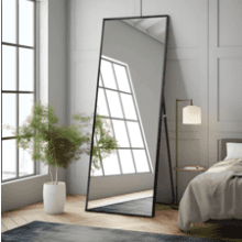 NeuType Full Length Mirror 64"x21"