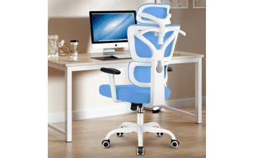 Winrise Office Chair Ergonomic Desk Chair