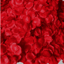 4600PCS Red Rose Petals