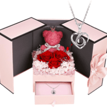 ASELFAD Valentines Day Gifts