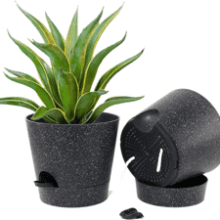 DUCINO Self Watering Pots