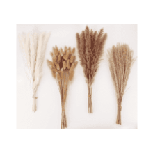 Dried Pampas Grass Decor