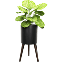 Fuxuiwy 12 Inches Plant Pot with Legs