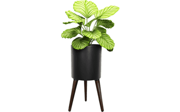 Fuxuiwy 12 Inches Plant Pot with Legs