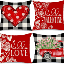 GEEORY Valentines Pillow Covers