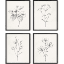 HAUS AND HUES Framed Vintage Botanical Prints - Set of 4