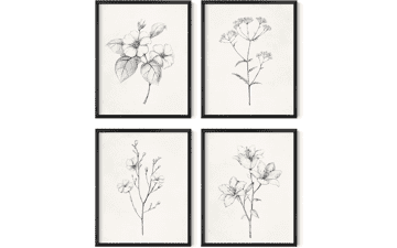 HAUS AND HUES Framed Vintage Botanical Prints - Set of 4