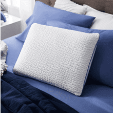 Sleep Innovations Forever Cool Gel Memory Foam Pillow