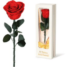 Valentines Day Gifts for Women