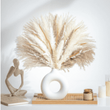 70PCS Natural Dried Pampas Grass Bouquet