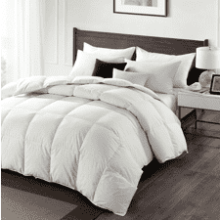 APSMILE Feather Down Comforter