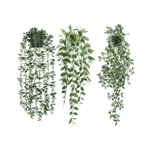 Artificial Hanging Plants 3 Pack