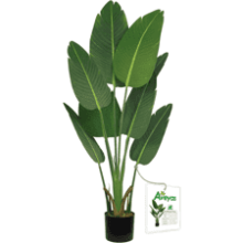 Aveyas 4ft Artificial Bird of Paradise Tree