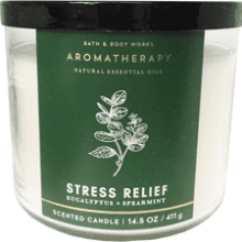 Bath & Body Works Aromatherapy Stress Relief Candle