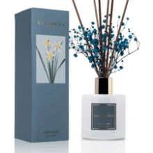 Cocorrína Premium Reed Diffuser Set