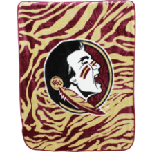 College Covers Florida State Seminoles Raschel Throw Blanket