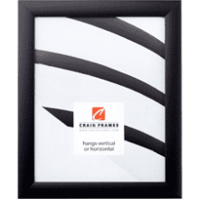 Craig Frames Contemporary Picture Frame