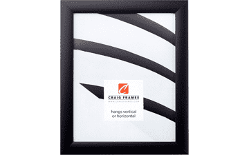 Craig Frames Contemporary Picture Frame