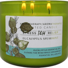 Eucalyptus Spearmint Aromatherapy Candle